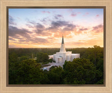 Load image into Gallery viewer, Houston from on High