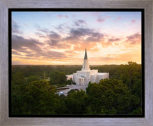 Load image into Gallery viewer, Houston from on High