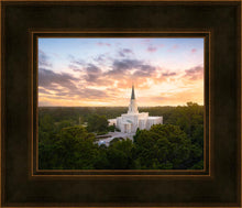 Load image into Gallery viewer, Houston from on High