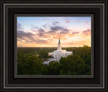 Load image into Gallery viewer, Houston from on High