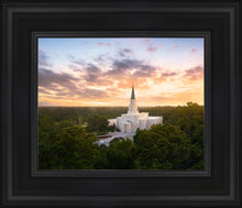 Load image into Gallery viewer, Houston from on High