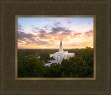 Load image into Gallery viewer, Houston from on High