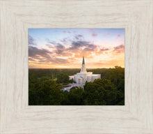 Load image into Gallery viewer, Houston from on High