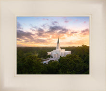 Load image into Gallery viewer, Houston from on High