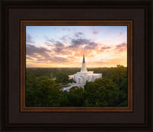Load image into Gallery viewer, Houston from on High