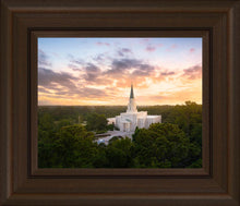 Load image into Gallery viewer, Houston from on High