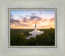 Load image into Gallery viewer, Houston from on High