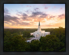 Load image into Gallery viewer, Houston from on High