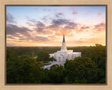 Load image into Gallery viewer, Houston from on High