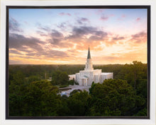 Load image into Gallery viewer, Houston from on High
