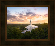 Load image into Gallery viewer, Houston from on High