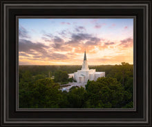 Load image into Gallery viewer, Houston from on High