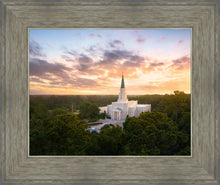 Load image into Gallery viewer, Houston from on High