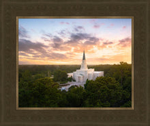 Load image into Gallery viewer, Houston from on High