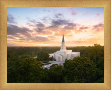 Load image into Gallery viewer, Houston from on High