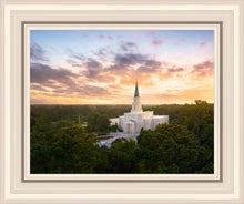 Load image into Gallery viewer, Houston from on High