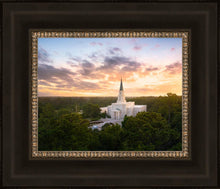Load image into Gallery viewer, Houston from on High
