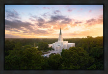 Load image into Gallery viewer, Houston from on High