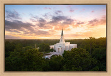 Load image into Gallery viewer, Houston from on High