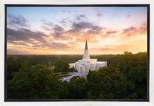 Load image into Gallery viewer, Houston from on High