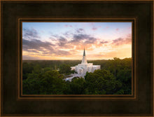 Load image into Gallery viewer, Houston from on High