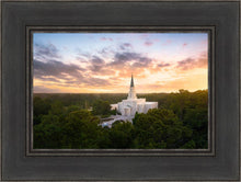 Load image into Gallery viewer, Houston from on High
