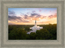 Load image into Gallery viewer, Houston from on High