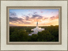 Load image into Gallery viewer, Houston from on High