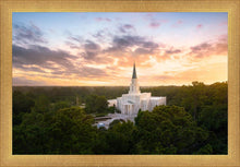 Load image into Gallery viewer, Houston from on High