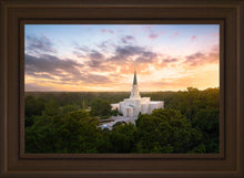 Load image into Gallery viewer, Houston from on High