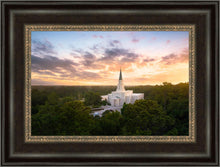 Load image into Gallery viewer, Houston from on High