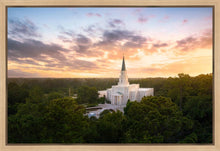 Load image into Gallery viewer, Houston from on High