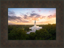Load image into Gallery viewer, Houston from on High