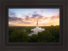 Load image into Gallery viewer, Houston from on High
