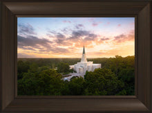 Load image into Gallery viewer, Houston from on High
