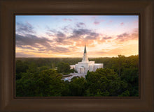 Load image into Gallery viewer, Houston from on High