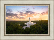 Load image into Gallery viewer, Houston from on High