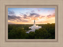 Load image into Gallery viewer, Houston from on High