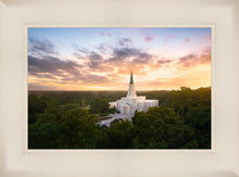 Load image into Gallery viewer, Houston from on High