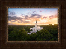 Load image into Gallery viewer, Houston from on High