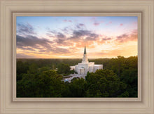 Load image into Gallery viewer, Houston from on High