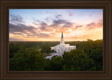 Load image into Gallery viewer, Houston from on High
