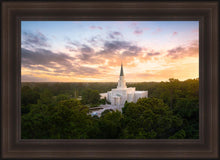 Load image into Gallery viewer, Houston from on High