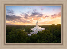 Load image into Gallery viewer, Houston from on High