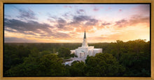 Load image into Gallery viewer, Houston from on High