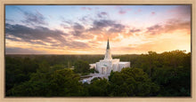Load image into Gallery viewer, Houston from on High