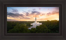 Load image into Gallery viewer, Houston from on High