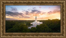Load image into Gallery viewer, Houston from on High