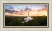 Load image into Gallery viewer, Houston from on High