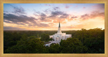 Load image into Gallery viewer, Houston from on High